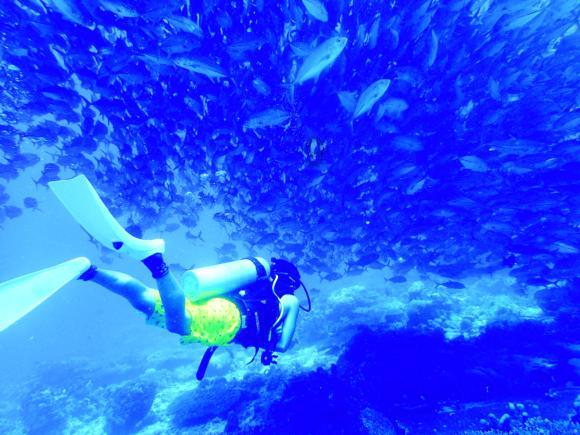 点赞！东营市王玲玲当选2023年“齐鲁最美基层宣传文化工作者”
